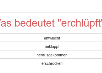 13 Dialekt-Knacknüsse aus dem Schweizerdeutschen