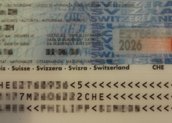 Rätsel gelöst: Das bedeutet die Zahl am Schluss deiner ID.