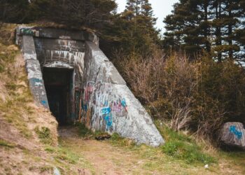 gray concrete tunnel near green trees during daytime
